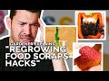 Do "Regrowing Food Scraps" Hacks Actually Work?