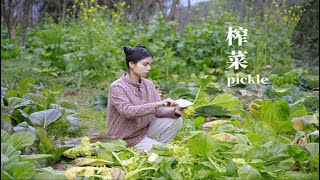 一道用时间做出来的美味——榨菜 ▎Fuling pickle  ▎Lizhangliu Channel