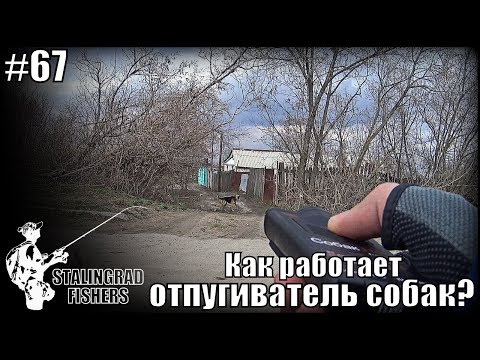 Отпугиватель собак- Обзор и принцип работы