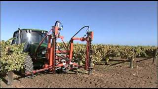 Spagnolo Green trimmer
