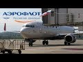 Перелет Сочи - Шереметьево на Boeing 737-800 а/к Аэрофлот