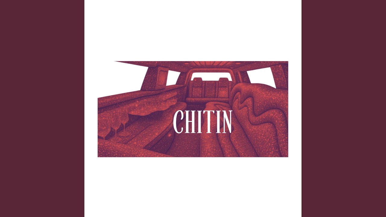 Watch Chitin on YouTube Watch Chitin on YouTube