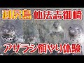 北海道・利尻島　仙法志御崎公園でアザラシに餌やり体験をしました。