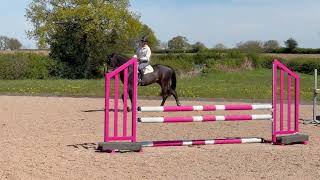CHARLIE  16.3HH 12 YEAR OLD GELDING FLATWORK VIDEO