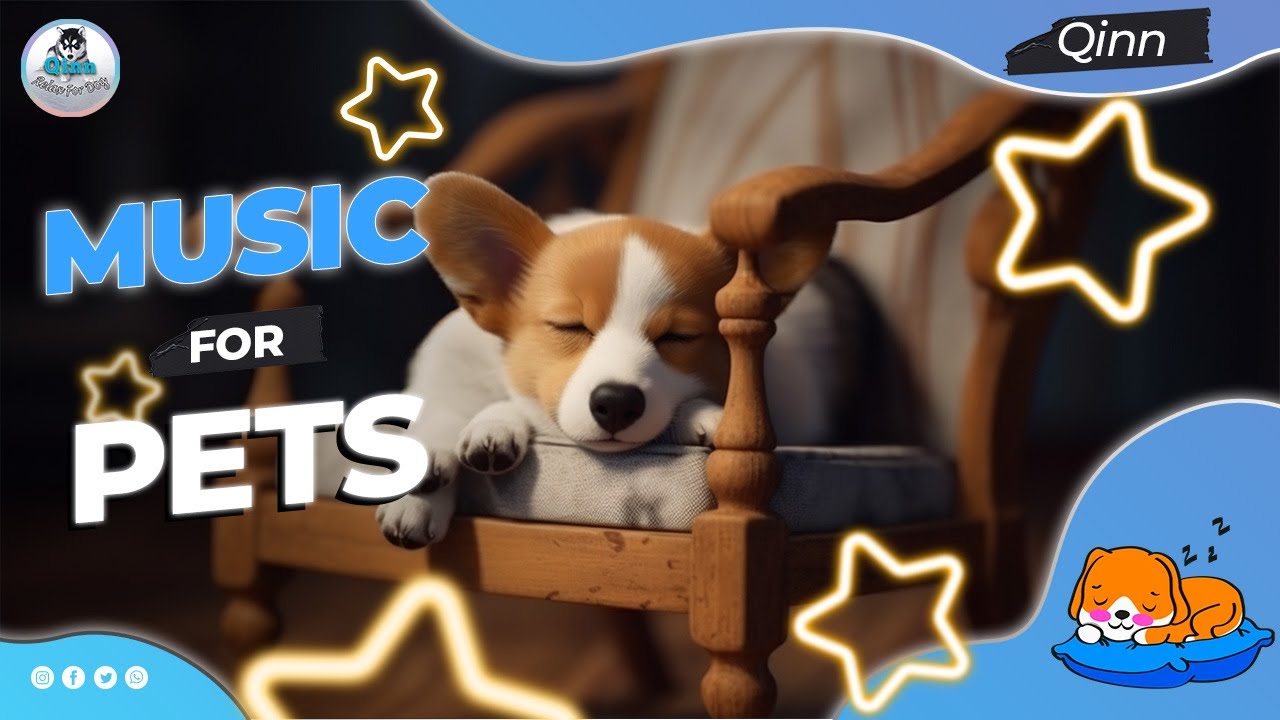 Help your Puppy go to Sleep at Night,ASMR Sleep Music for Anxious Dogs