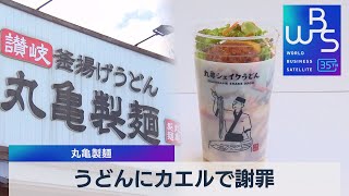 うどんにカエルで謝罪 丸亀製麺【WBS】（2023年5月23日）