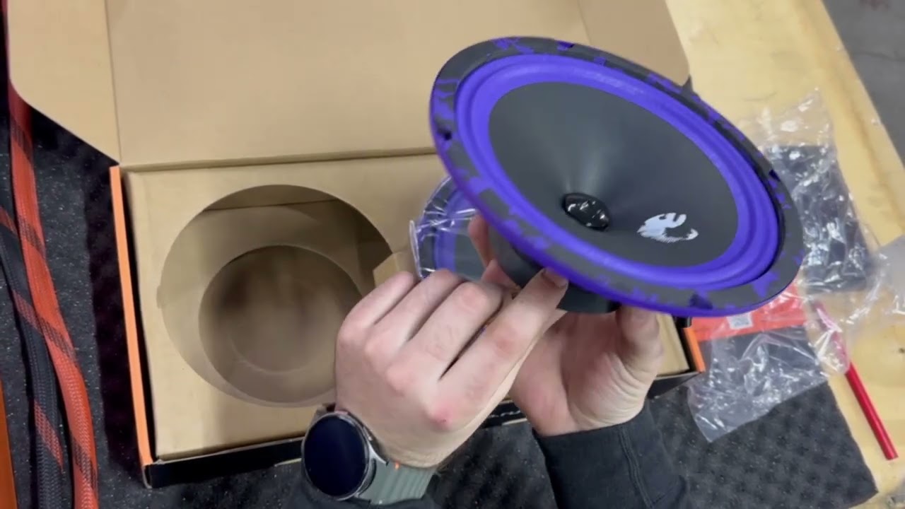 Обзор на динамики от компании DlAudio Piranha V2 200