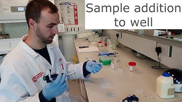 A biosensor with gold nanozymes