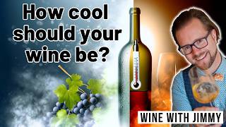Master Wine Temperatures: Serve Like a Pro! by Wine With Jimmy 692 views 1 month ago 10 minutes, 55 seconds