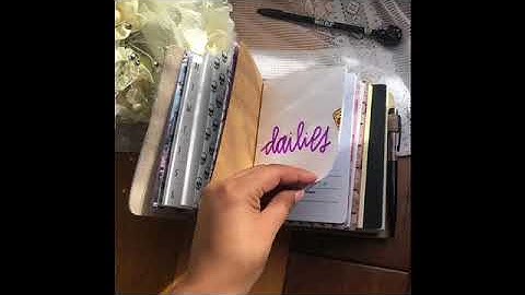 Foxy Fix Sugar Cookie/ Set Up