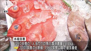 日本人の魚介類消費量が過去最低　ピークの6割弱に(2022年6月3日)