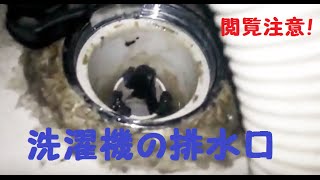 洗濯機の排水口　掃除しないとこうなる　ビートウォッシュC4エラー