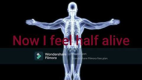 JXDN-Braindead(lyric)