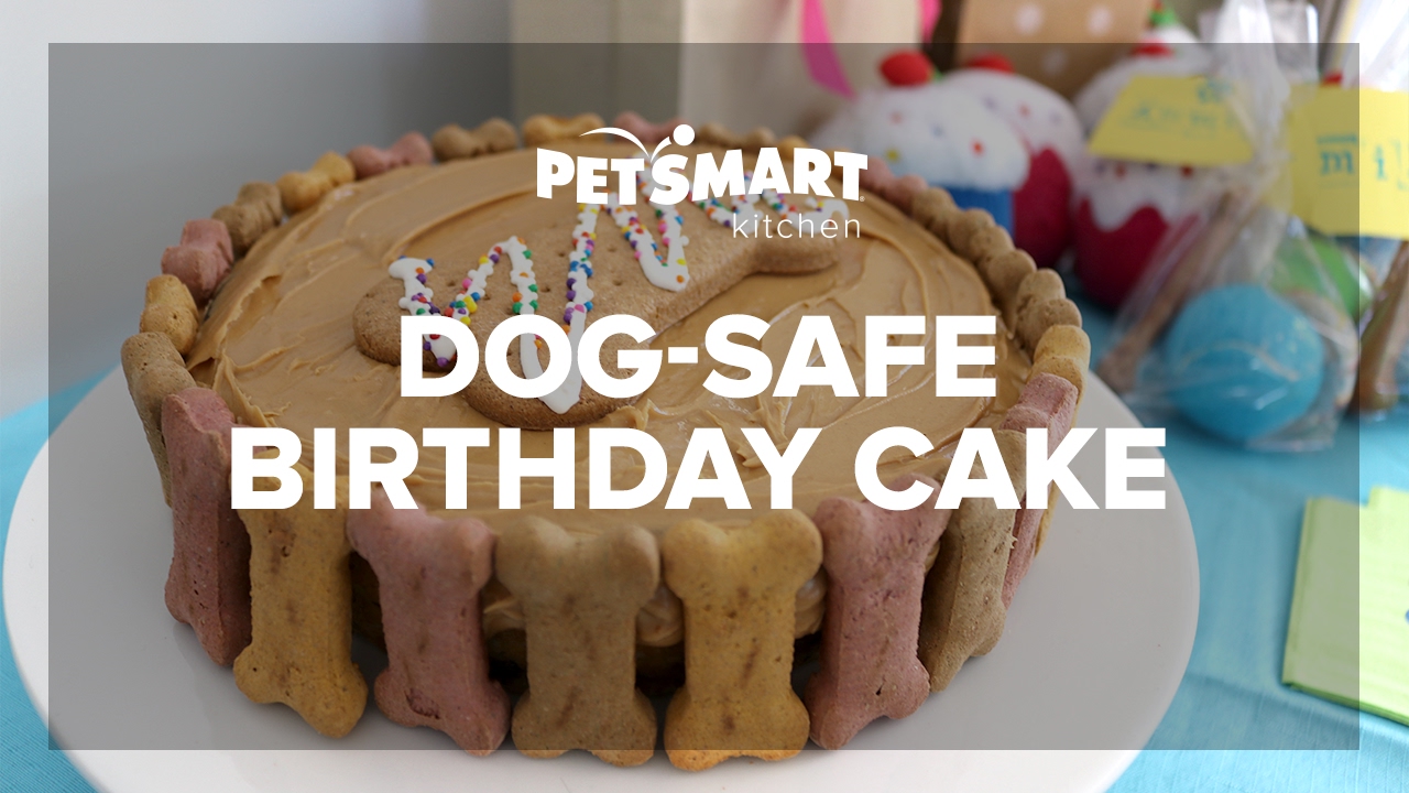PetSmart Kitchen Doggie Birthday Cake YouTube