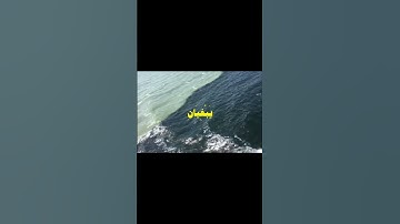 مرج البحرين يلتقيان بينهما برزخ لا يبغيان - تلاوة رائعة للشيخ محمد صديق المنشاوي - ستوري واتس