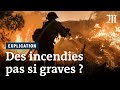 Les incendies sont-ils si graves pour les forêts ?