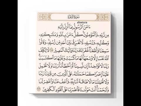 آواخر سورة البقرة آمن الرسول بما أنزل إليه من ربه والمؤمنون بصوت علي الحذيفي