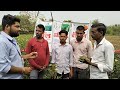 Ajeet royal bhindiyoutubeshortskisanagriculturefarmerviral.viralfollowshortsfarming