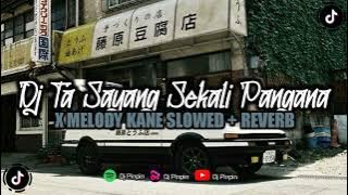 Dj Ta sayang skali pangana x melody Kane ( Slowed   Reverb )🎧