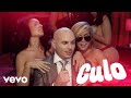 Culo Remix 2024 - Pitbull, Sean Paul & Lil Jon 