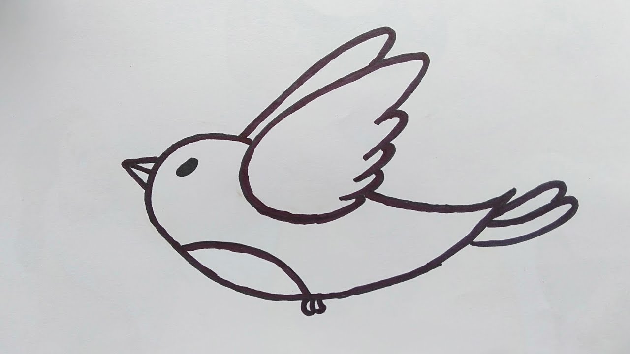 How To Draw And Color A Bird Step By Step - Cách Vẽ Và Tô Màu Con Chim Đơn  Giản - Youtube