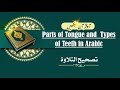 Parts of Tongue &amp; Teeth Names Explained| Learn Quran with Tajweed |#learnquran #tajweed #makharij 
