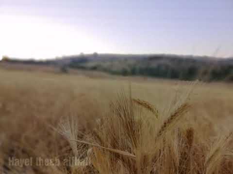 سورة البقرة الاية ١٨٦ بصوت القارئ الشيخ عبدالباسط عبدالصمد