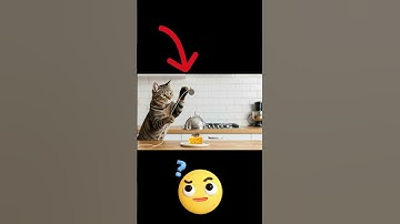 Shocking! 😱😱The cat sets a trap and waits in silence やばすぎ！😱猫は罠を仕掛けて静かに待っている #shorts #trending