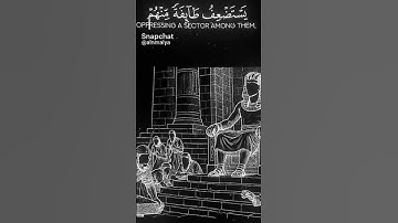 القرآن الكريم ربيع قلوبنا ونور صدورنا