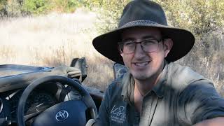 Matt showcases some of the Klaserie's many amazing antelope species