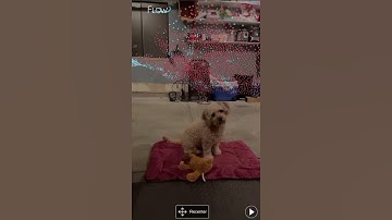 2020 Presidential Election Map by County