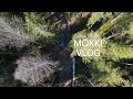 MÖKKI VLOG | Savusauna, uusi laavu, ulkoilua | myday