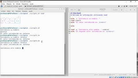 Bash scripting: Uso de "read"