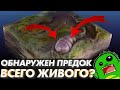 Предок всего живого? | Кембрийский взрыв и Урбилатерия | Эдиакар и Икария