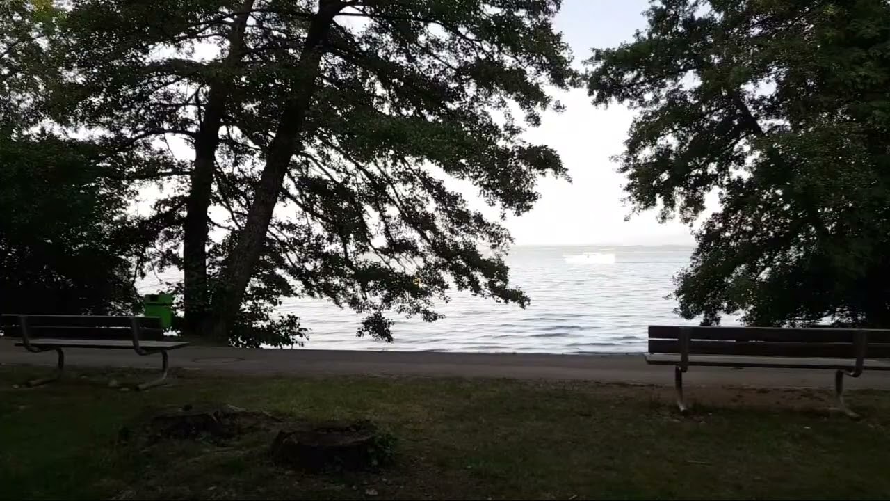 Шарқий Туркистон