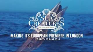 Sea Creatures Tour - Discover Ocean Life in an Interactive Experience