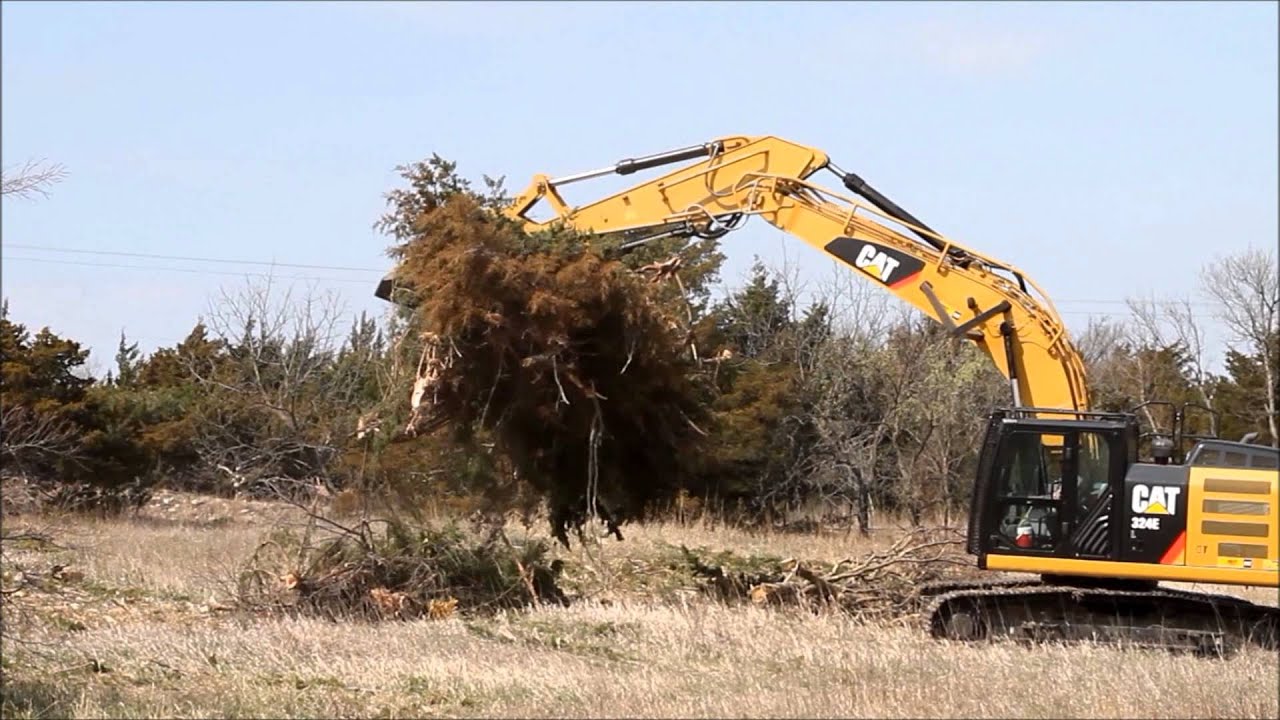 Tree cutting grand rapids mi
