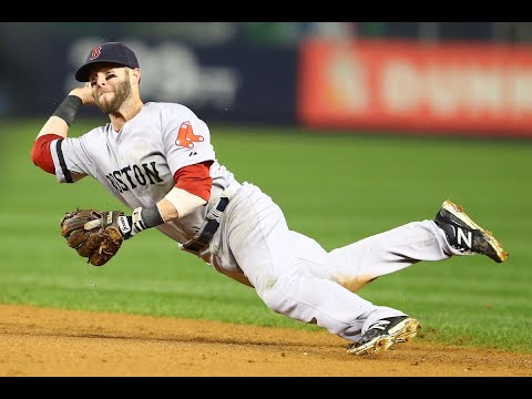 【引退】ペドロイアのハッスルプレー集【 Dustin Pedroia retire 】【MLB】