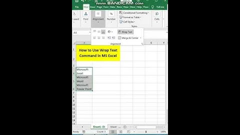 #shrisaicomputer #shorts How to Use Wrap Text Command in MS Excel