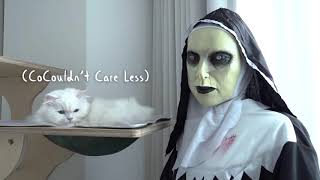 Cat's Reaction to the Appearance of The Nun
