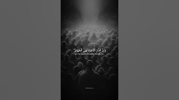 اكتب شيء تؤجر عليه 😴🤍 قران كريم | عبد الرحمن مسعد