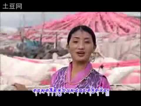 Tibetan Culture flourishing (Dronpe) #515
