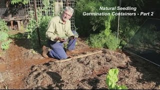 Planting Seedlings in Eggs Shells - Part 2