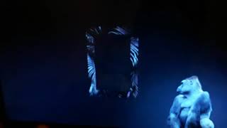 National Geographic Wild Ident 2019