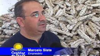 Reciclagem de Isopor