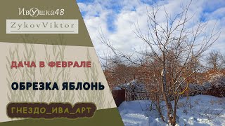 Дача в феврале. Обзор ситуации. Обрезал яблони.