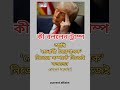 কি বললো ট্রাম্প #DonaldTrump #newsoftheworld #worldnews #সংবাদ #খবর #news #যুক্তরাষ্ট্র