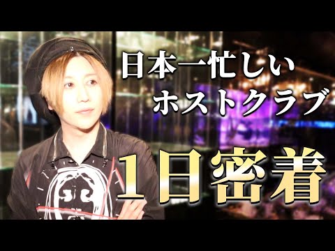 社美緒のホストクラブの24時間