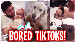 TikToks to watch when you&#39;re bored 2021