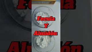 DIFERENCIA ENTRE FECULA Y ALMIDÓN Que Es Fecula